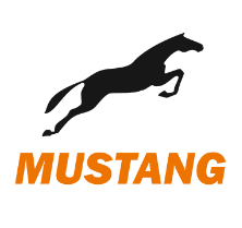 Дизельне паливо (Євро 5), АЗС MUSTANG, картка